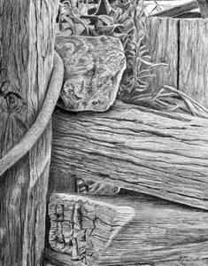 "Sitting on the Fence"