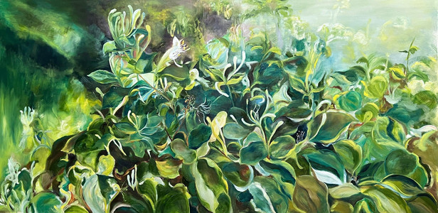 Honeysuckle in my neighborhood