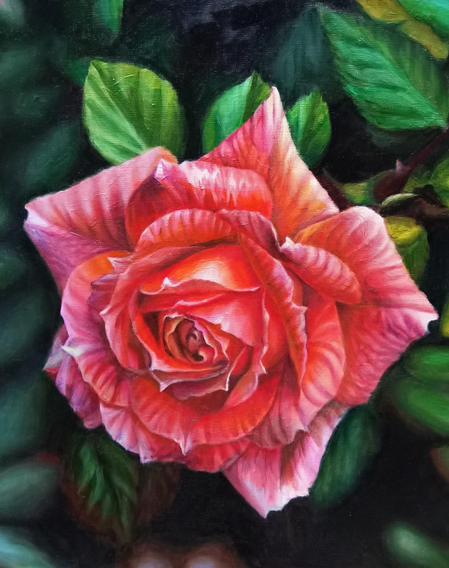La Vie En Rose