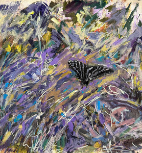 A Monarch in the Buddlia