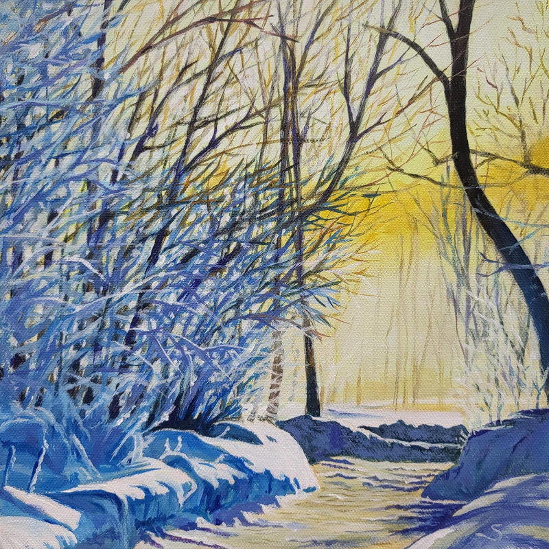 Sunshine After Snow