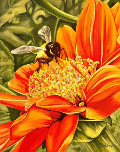 A Bee's Journey Through Blossoms