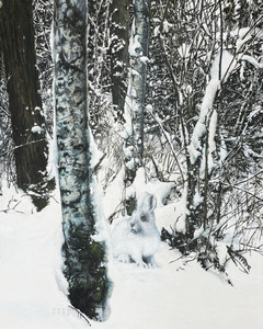 Winter Hare