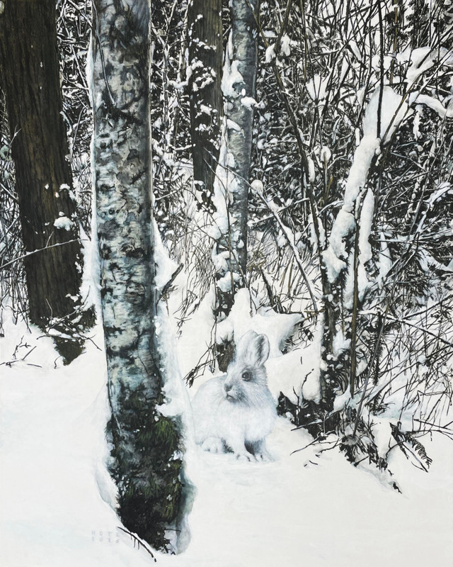 Winter Hare
