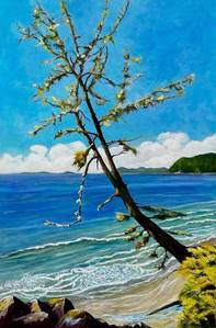 The Windswept Sentinel of Tonquin Beach