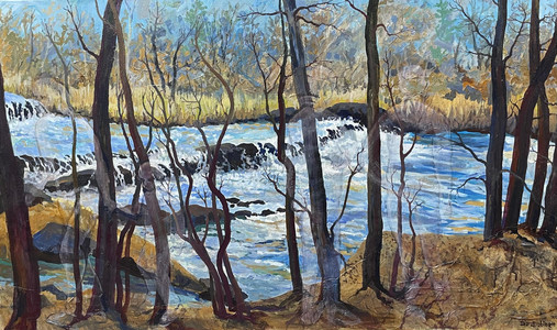 Rushing Water on Waterford River Trail