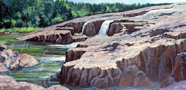 Fishing in Manuel's River