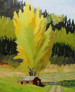 Cottonwood Means Water