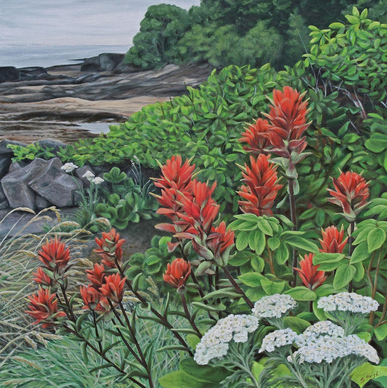 Paintbrush Coast