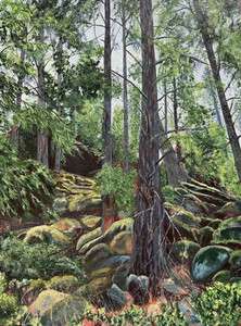 Nature&rsquo;s Divine Glory