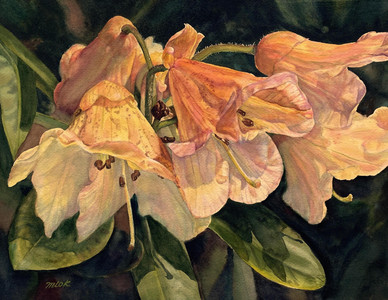 Dancing Petals