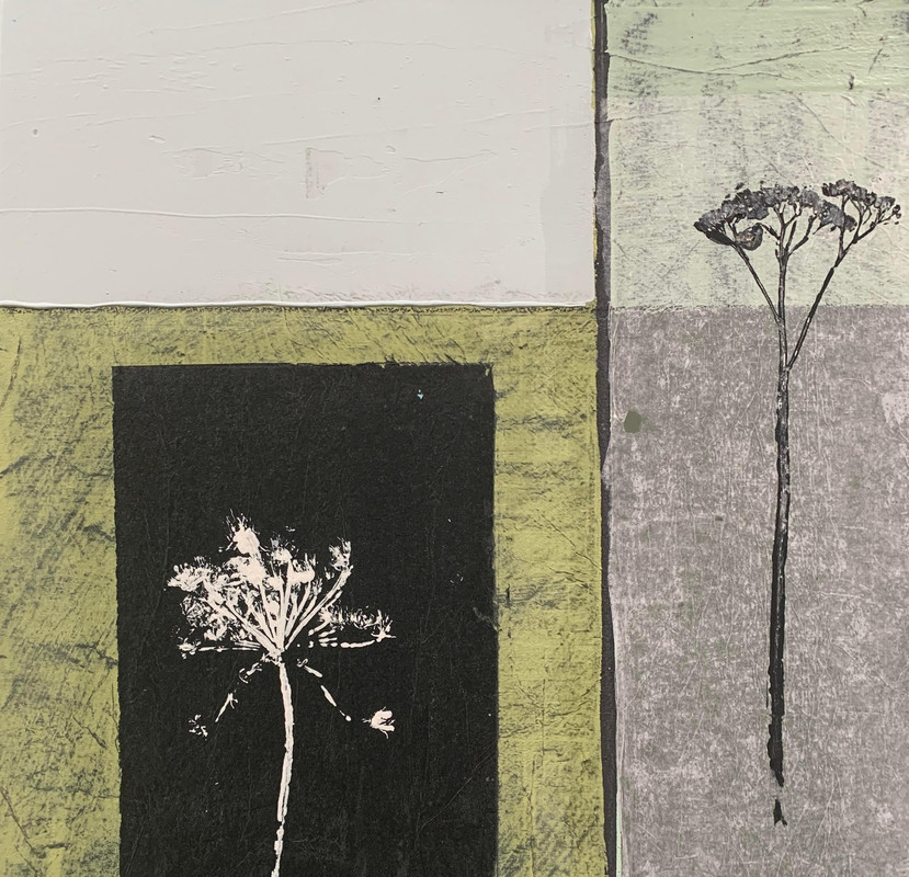 Roadside plants