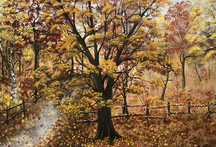 Autumn in the Country