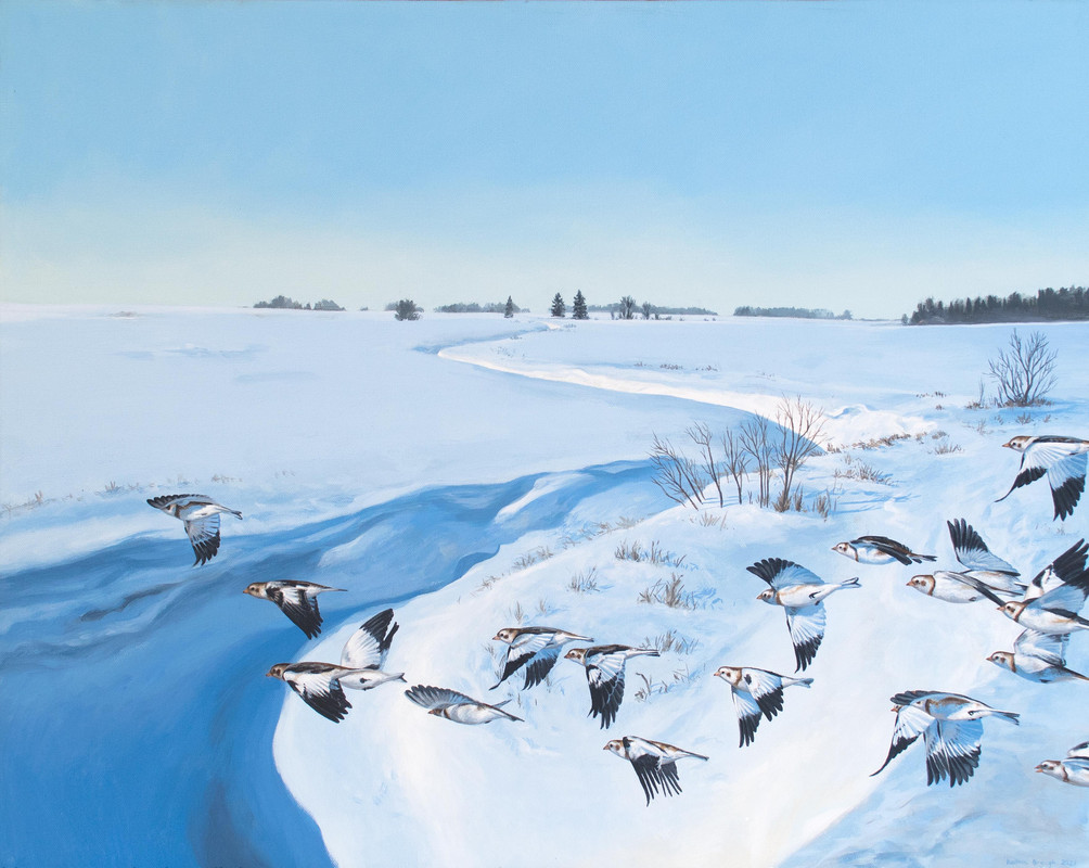 Winter birding