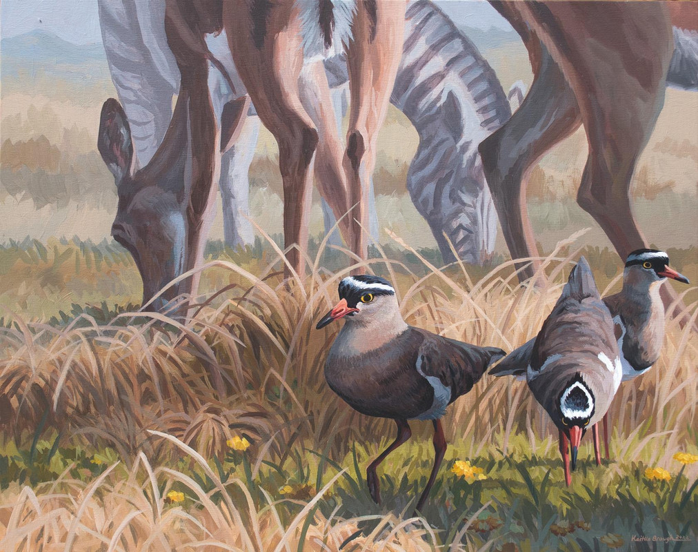 Within the herd