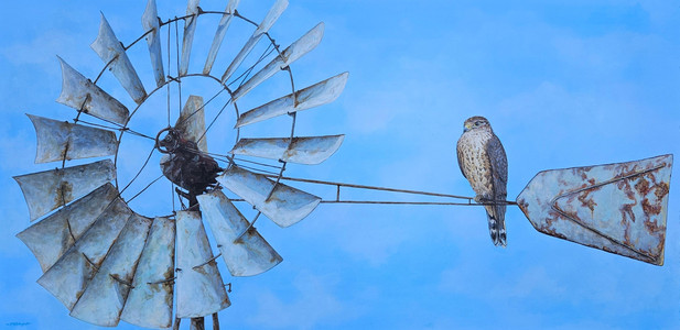 Wind Pump Merlin Perched