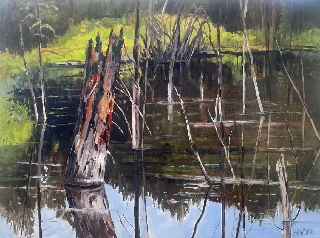 Invermere Marsh