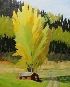 Cottonwood Means Water