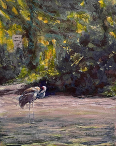 Sandhill Crane - Reifel Island