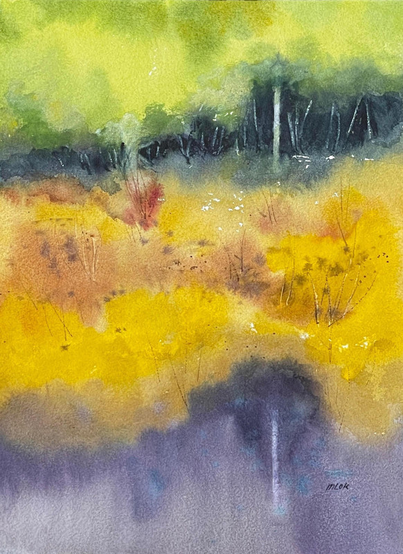 Camosun Bog