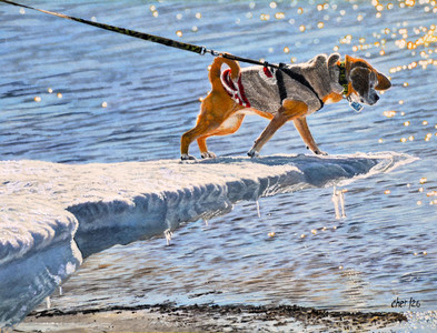 On The Edge