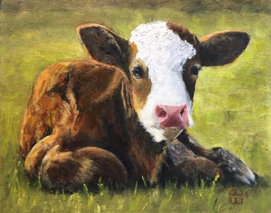 Forest Calf