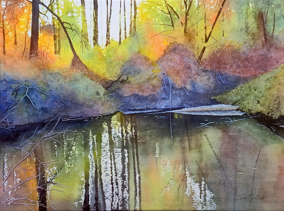 Turtle Pond