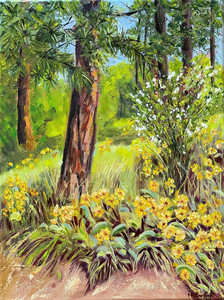 Okanagan spring time