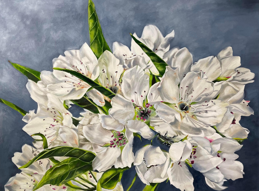 Primavera
