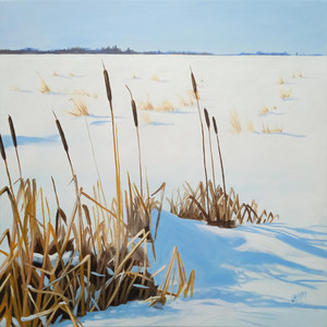 Winter Rushes