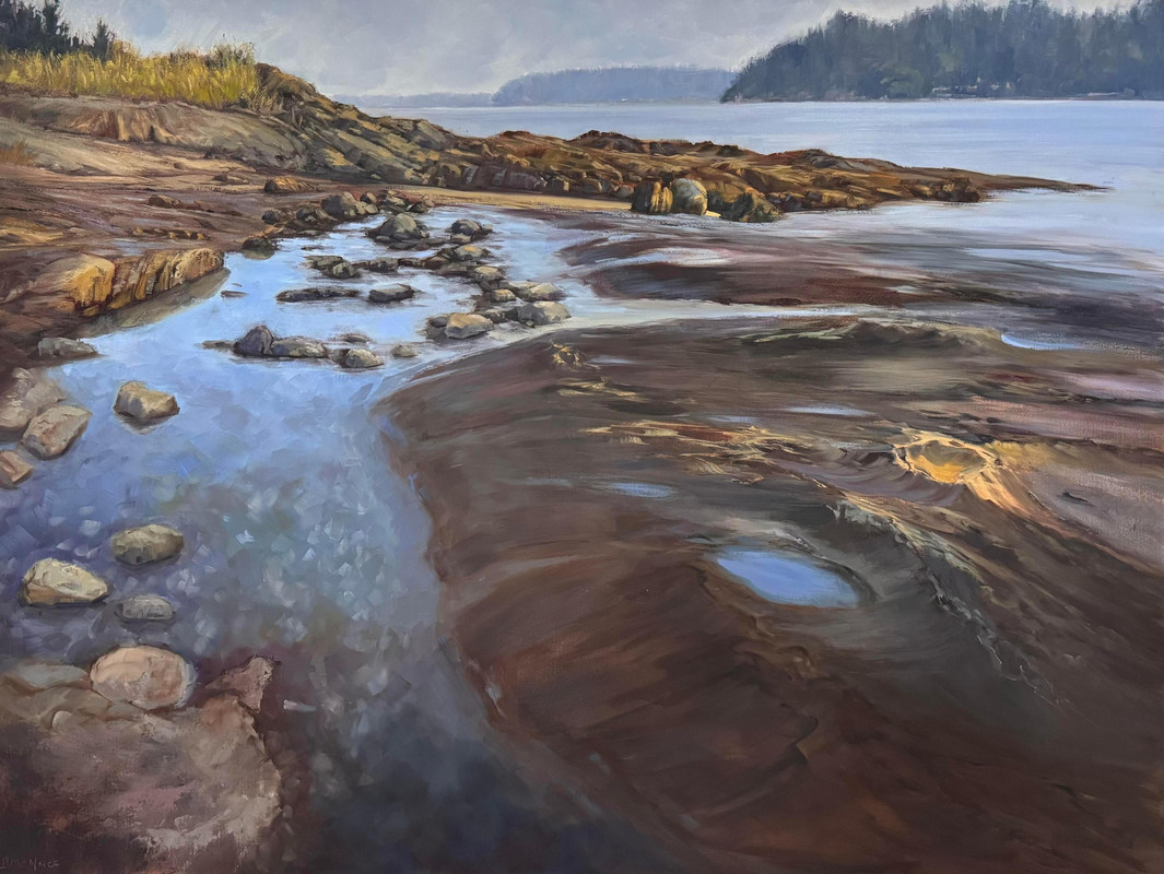 Tidal pools