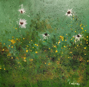Dandelions by the roadside