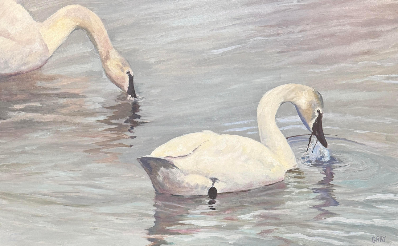 Trumpeter Swans