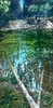 View #1