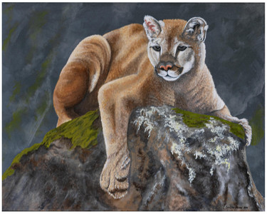 Mountain Spirit