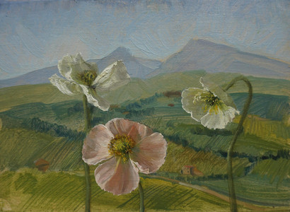 Poppies