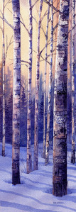 Where the Birch Trees Sing