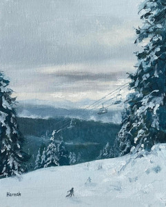 A Perfect Ski Day
