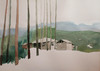 View #1