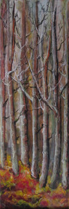 Depth of the Aspen Forest