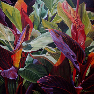 Cannas #5