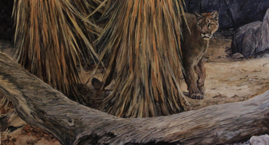 Mountain Lion and Yucca