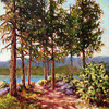 View #1