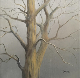 Barren Branches