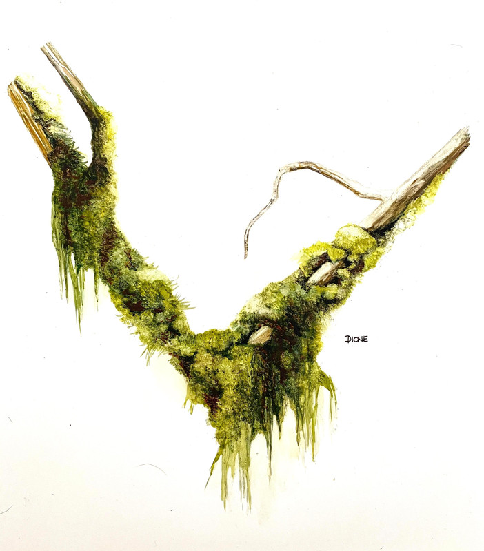 Moss 4