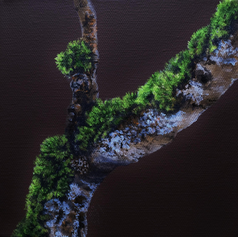 Moss Erupts