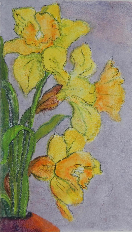 Daffodils, Symbols of Hope and New Beinnings
