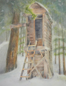 Outhouse on Seymour Mountain