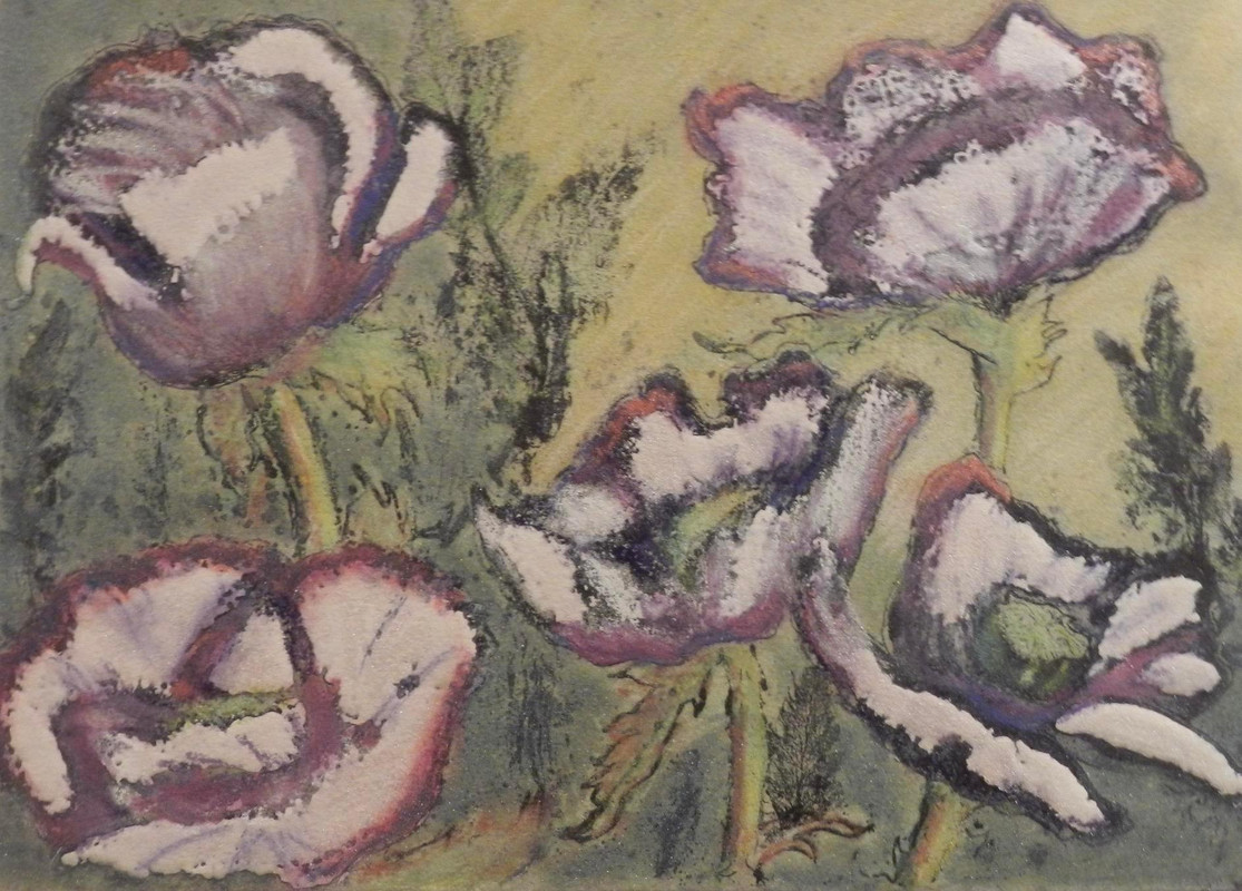Oriental Poppies