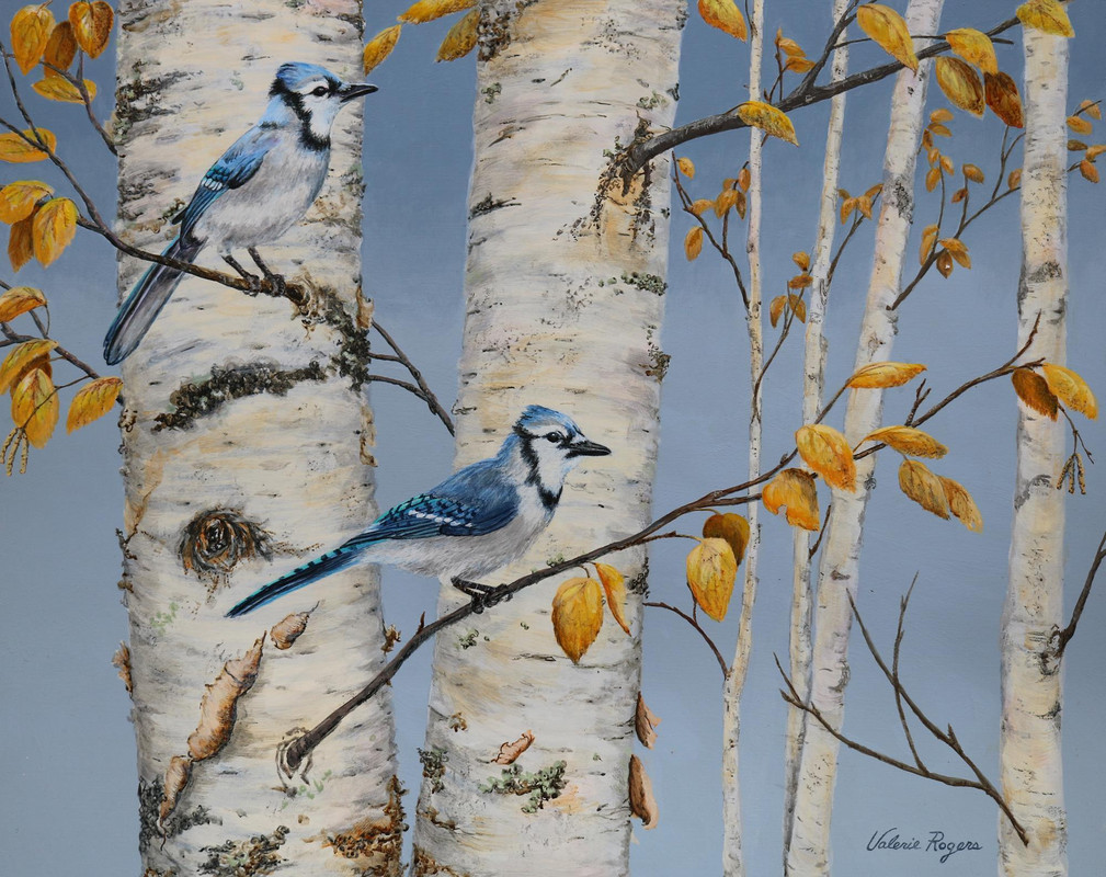 Blue Jay Day
